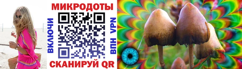 закладки  Серафимович  Псилоцибиновые грибы ЛСД 